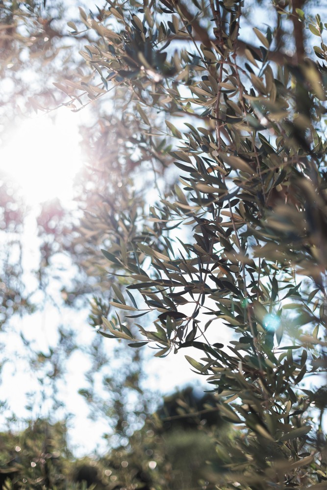 Airsnap | Photo et vidéo de mariage — Rana & Eric, Domaine du Mont Leuze, French Riviera